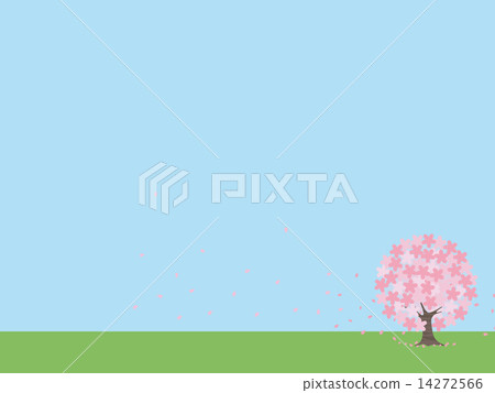 櫻桃樹 14272566