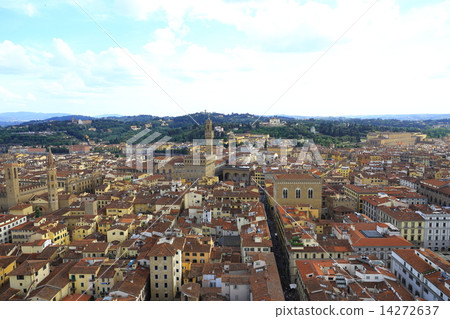 Florence Florence 14272637