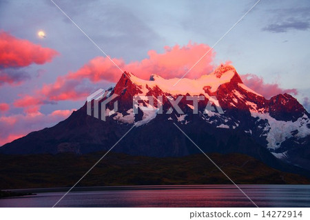 在早晨煥發的山Paine Grande 在早晨煥發的山Paine Grande 14272914