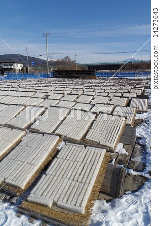 Corner agar production scenery (Suwa district, Nagano prefecture) Corner agar production scenery (Suwa district, Nagano prefecture) 14273643