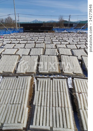 Corner agar production scenery (Suwa district, Nagano prefecture) 14273646