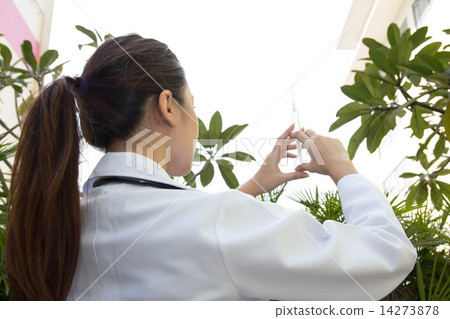 Health / Medical Care 14273878