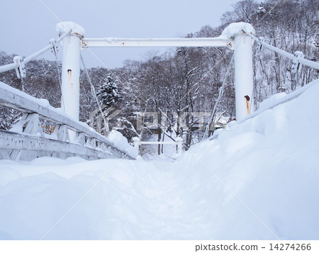 Snow scene 14274266