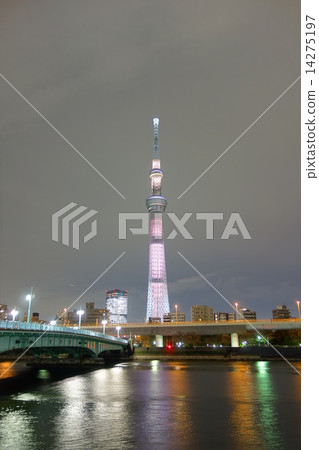 Night in Tokyo Night in Tokyo 14275197
