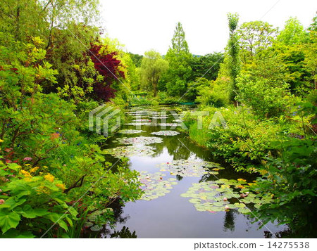 漁業莫奈的花園北川村 漁業莫奈的花園北川村 14275538