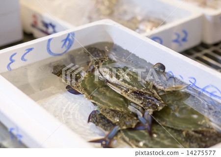Gazami crab Gazami crab 14275577