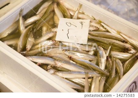 Wakasagi Wakasagi 14275583