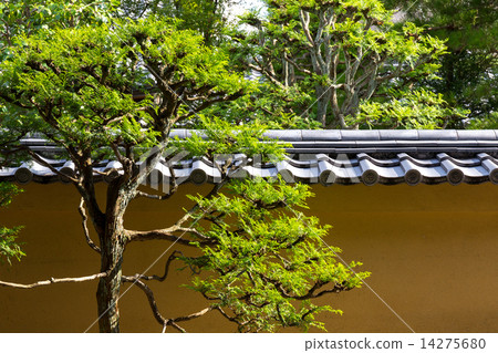 Daitokuji Ryugenin花園 14275680