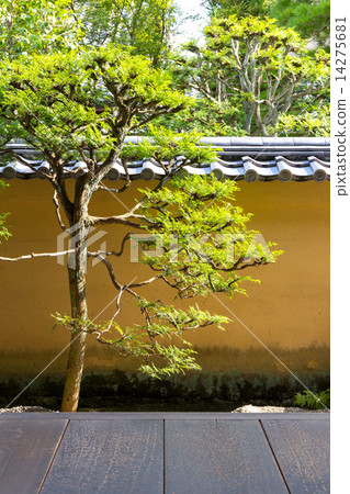 Daitokuji Ryugenin花園 14275681