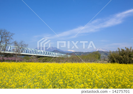 Chikumagawa Fureai Park 14275701