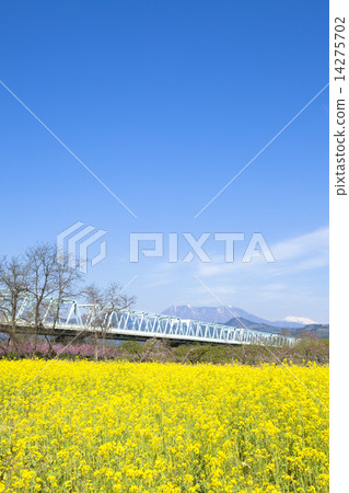 Chikumagawa Fureai Park 14275702