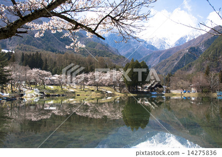 Spring of Minami Shinshu 14275836