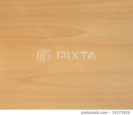 Beech wood texture 14275838