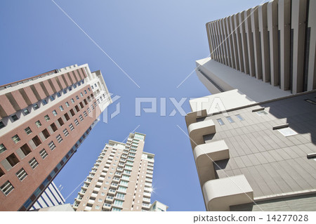 塔樓公寓組 塔樓公寓組 14277028