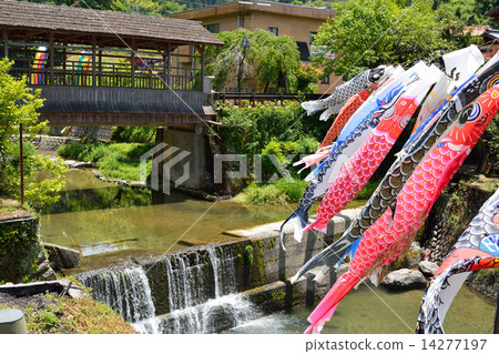 被遮蓋的橋和鯉魚飄帶 14277197