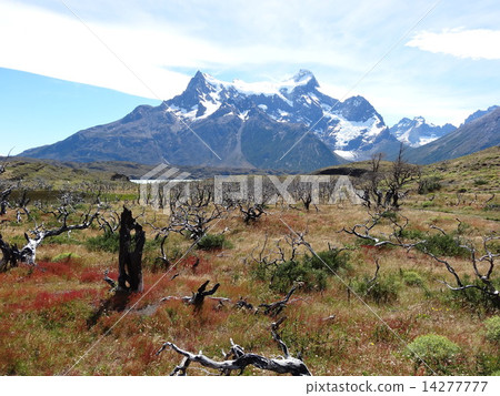 Wander through Paine National Park 14277777