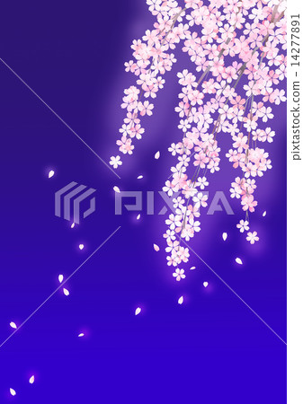 在晚上哭泣的櫻花 在晚上哭泣的櫻花 14277891