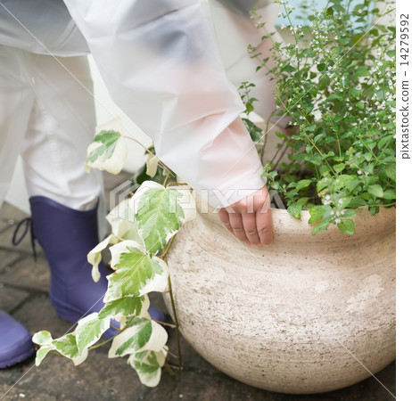 Before the storm Before the storm 14279592