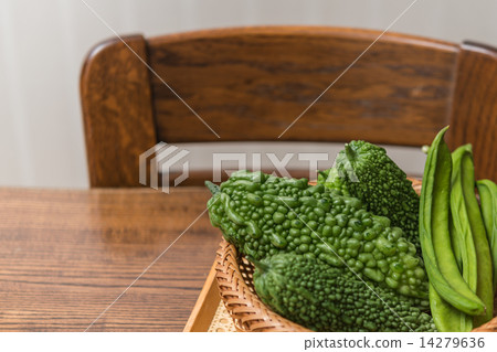 苦瓜 苦瓜 14279636