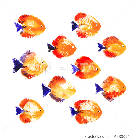 Set of watercolor discus fish 14280095