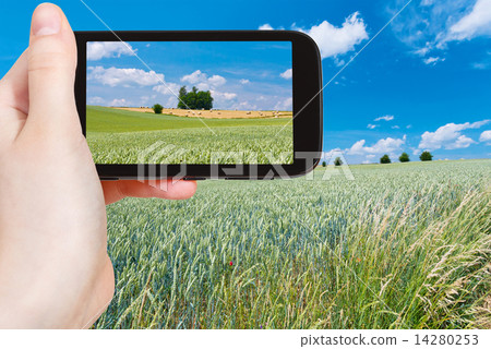 tourist taking photo of summer country landscape tourist taking photo of summer country landscape 14280253