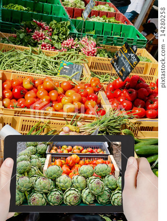 tourist taking photo of street vegetable market tourist taking photo of street vegetable market 14280258