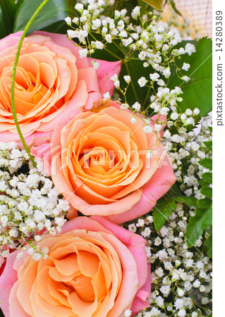 Colorful Flowers Bouquet Isolated Colorful Flowers Bouquet Isolated 14280389
