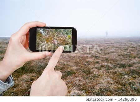 tourist taking photo of Arctic tundra in spring 14280396
