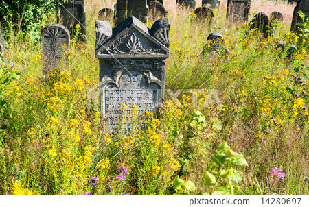 Old abandoned Jewish cemetery in the Ukrainian Carpathians 14280697