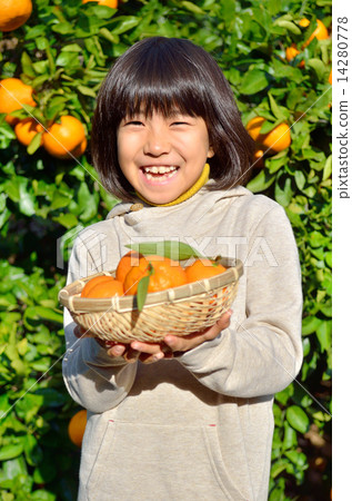 狩獵橘子的女孩 14280778