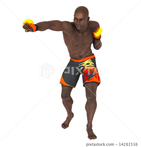 Fighter Fighter 14281516