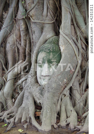 世界遺產Ayutaya Wat Phra Mahathat的佛頭 14281811