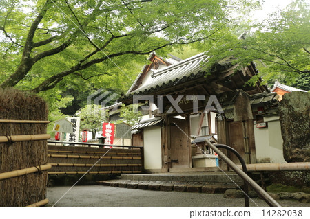 Suzumushitera 14282038