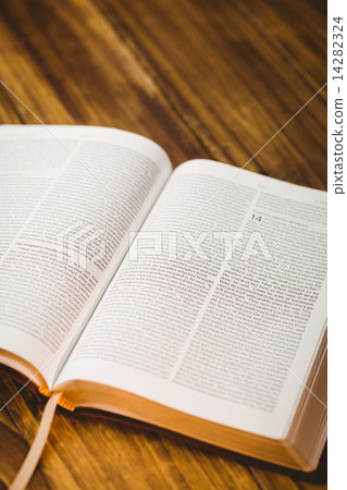 Open bible 14282324