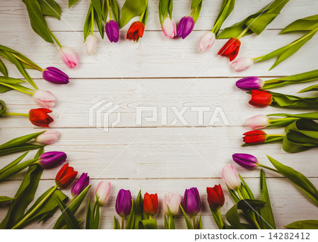 Tulips forming frame Tulips forming frame 14282412