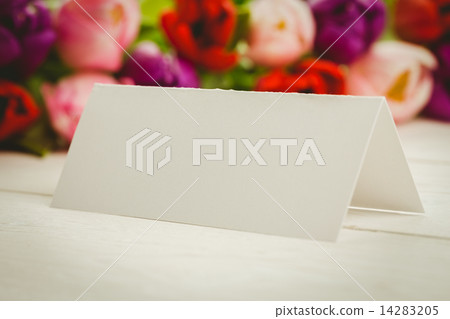 Colorful tulips and white card 14283205