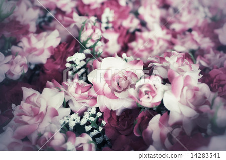 Vintage roses 14283541