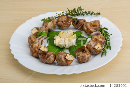 Escargot 14283991