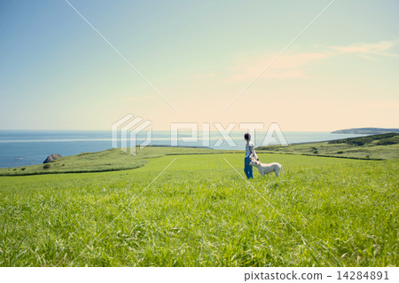 Sōya Hills 14284891