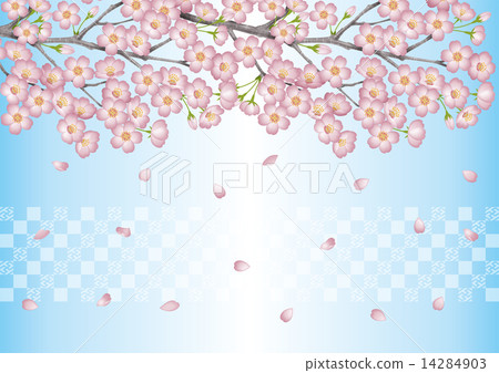 櫻花壁紙 櫻花壁紙 14284903