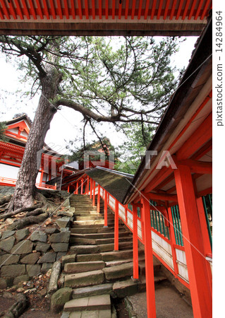 Hinomisaki Shrine 14284964