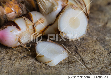 Galangal herb used in cooking 14285641