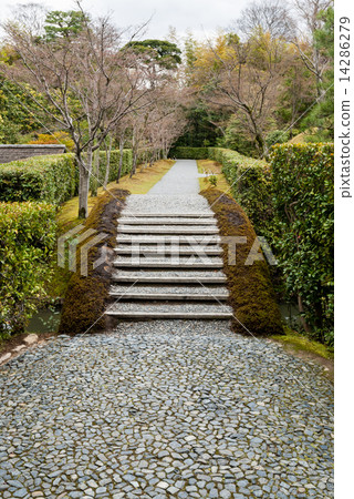 Dobashi continued to Katsura Rikyu Imperial Palace 14286279