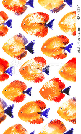 Vector seamless pattern with watercolor discus fish 14286354