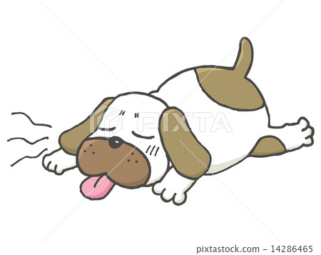 Dog Natsu Bate 14286465