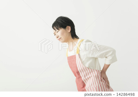 腰疼圖像中間女士家庭主婦 14286498