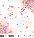 櫻吹雪 14287262