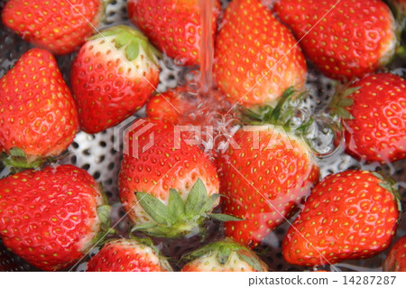 洗草莓 洗草莓 14287287