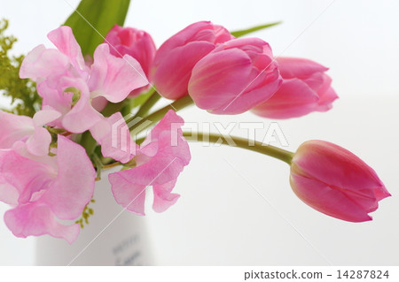 Spring arrangement Spring arrangement 14287824