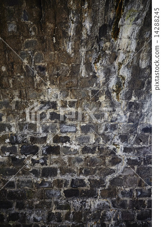 Former Tokaido Line Abandoned Tunnel 14288245